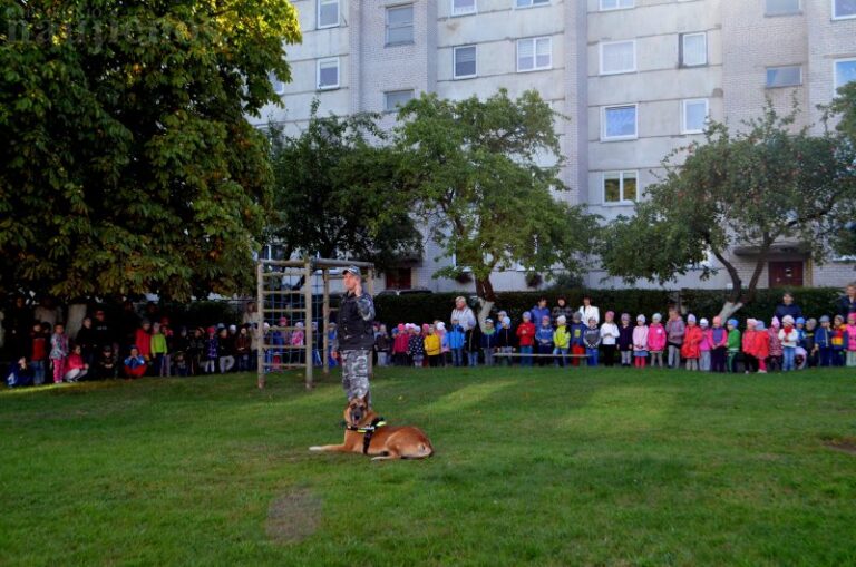 Vaikai saugumo mokėsi kartu su kinologu ir jo augintiniais