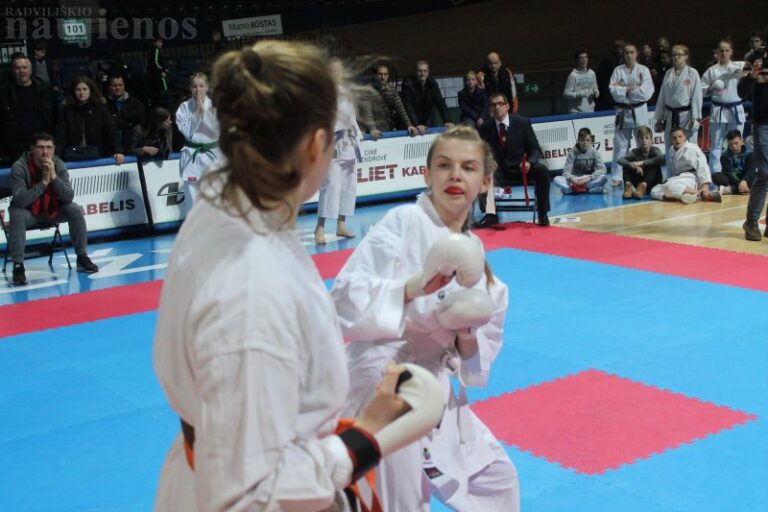 Karatė atstovams – trylika medalių