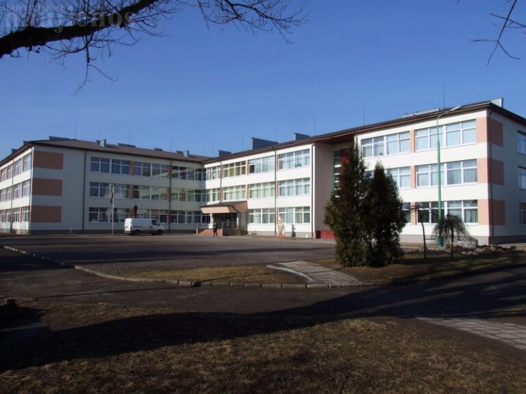 Švietimo įstaigų grimasos: Tyruliuose 29 mokinius moko net 20 mokytojų
