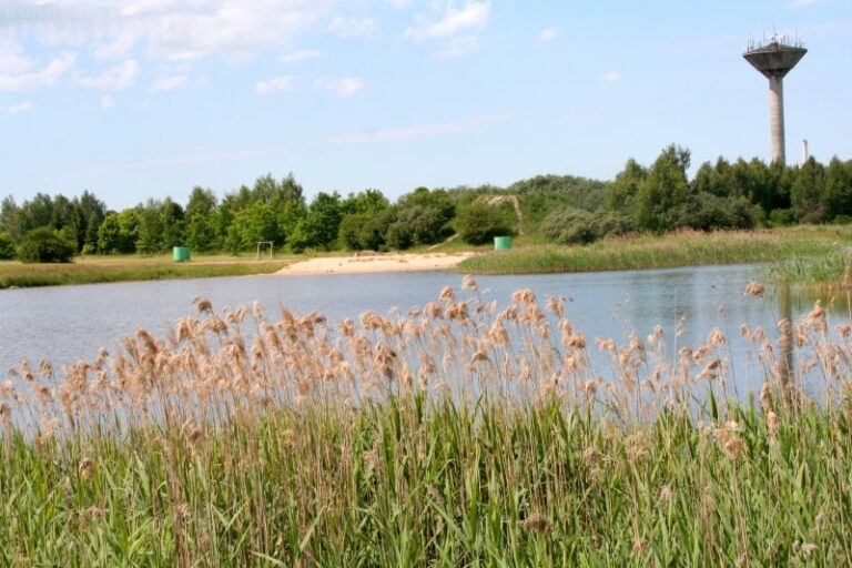 Eibariškių parko laukia pokyčiai