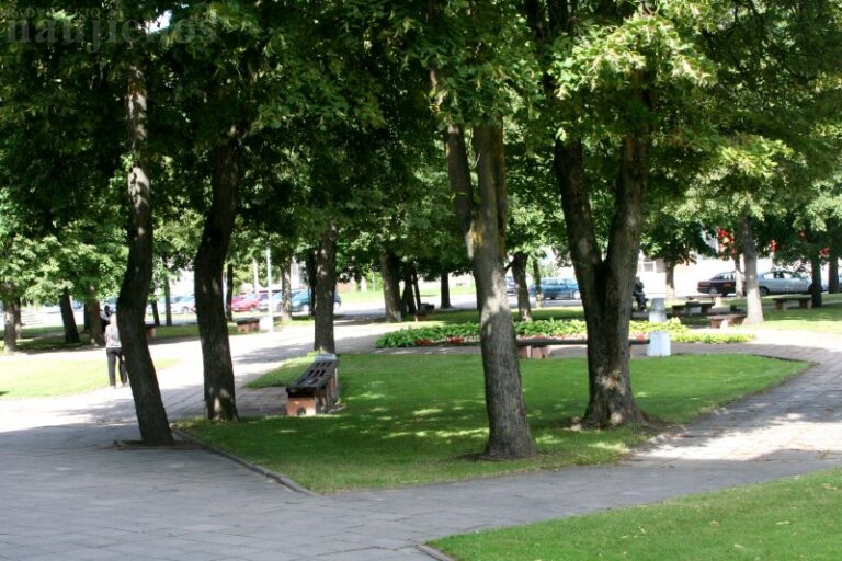 Po dvejų metų į Radviliškį suplūs tūkstančiai europiečių