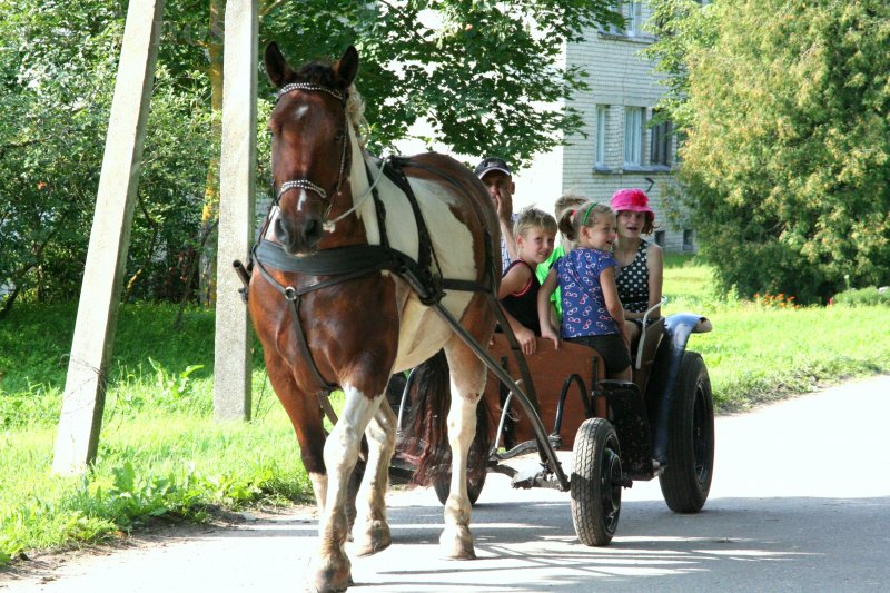 Akmens atidengimo iškilmėse dalyvavo ir Radviliškio rajono savivaldybės vicemeras Kazimieras Augulis.