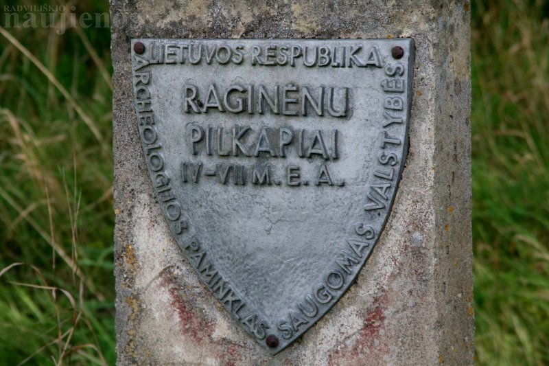 Į pilkapynus vedantis takelis nuveda tiesiog... į mišką.