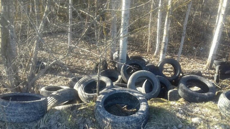 DAROM ekspertė komentuoja: bešeimininkės padangos – ne mūsų atsakomybė?