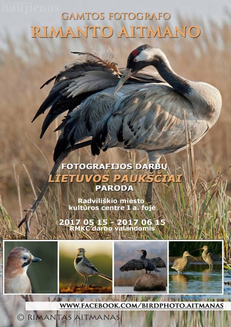 Iš Radviliškio kilęs fotografas dovanoja parodą „Lietuvos paukščiai“