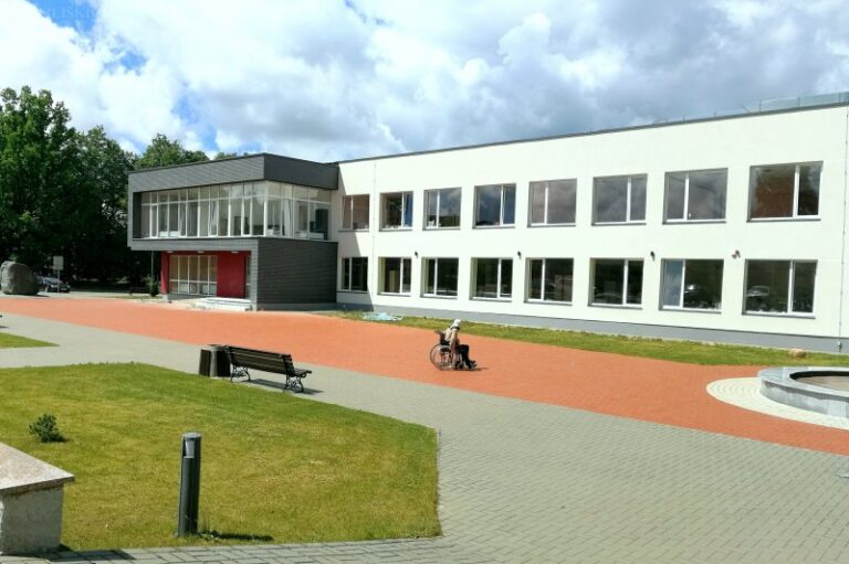 Svajonei išsipildyti reikėjo darbo, finansų ir… nervų ląstelių