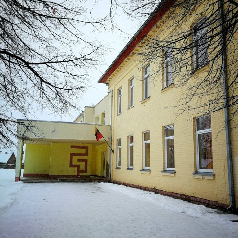 Šaltis ištuštino pradinukų klases