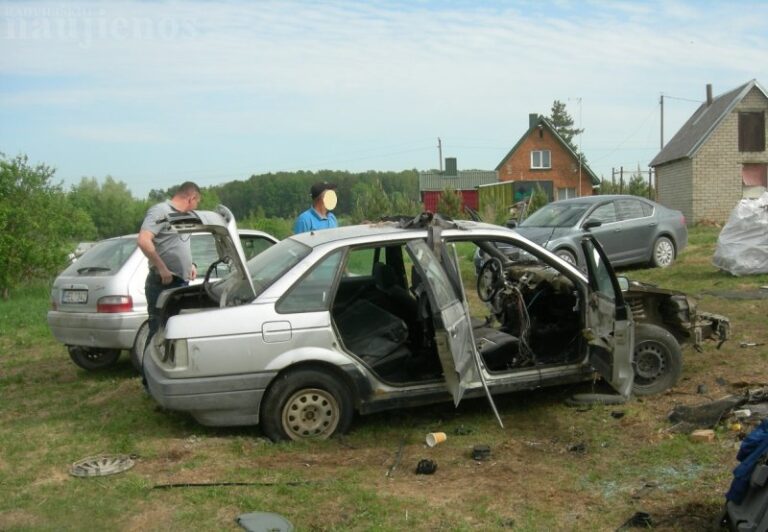 Aplinkosaugininkai „nuskalpavo“ senų automobilių ardytoją