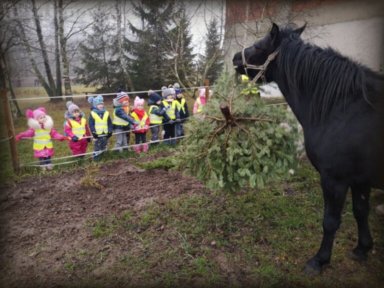 Nupuoštos žaliaskarės – skanėstas žirgams