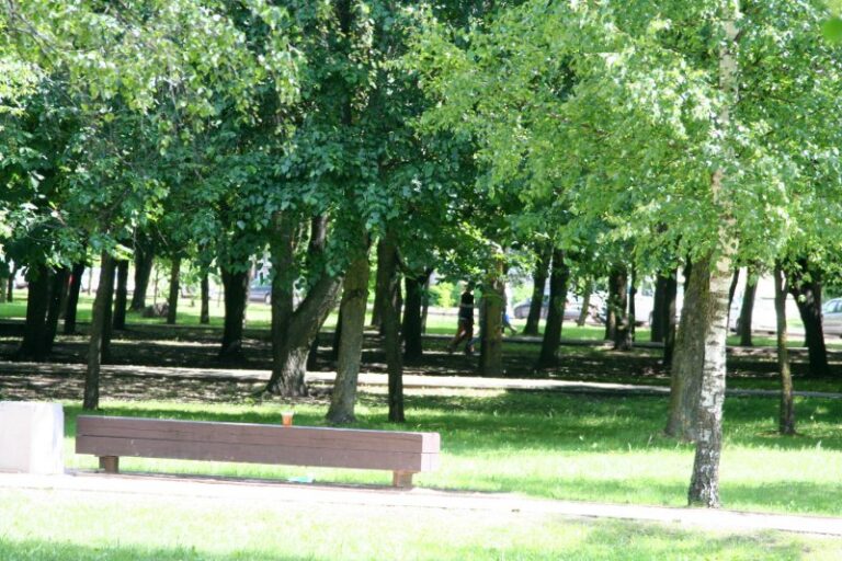 Nemokama emocinė ir psichologinė pagalba vaikams, jaunimui, tėvams telefonu ir internetu