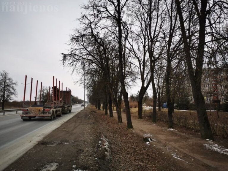 Radviliškio mieste prasidės triukšmo užtvaros statybos palei G. Landsbergio-Žemkalnio gatvę