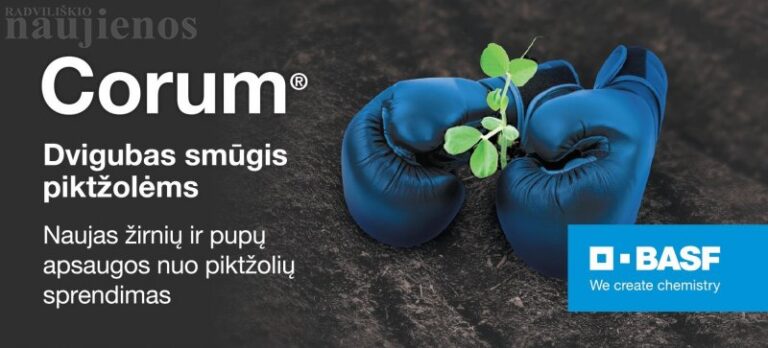 Žirnių ir pupų augintojams – naujas, dvigubo smūgio herbicidas