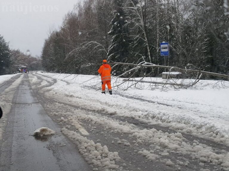 Gamtos išdaigos pridarė žalos ir Radviliškio rajone