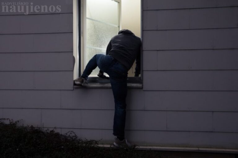 Šeduvę apšvarino „žolės pjovėjai“