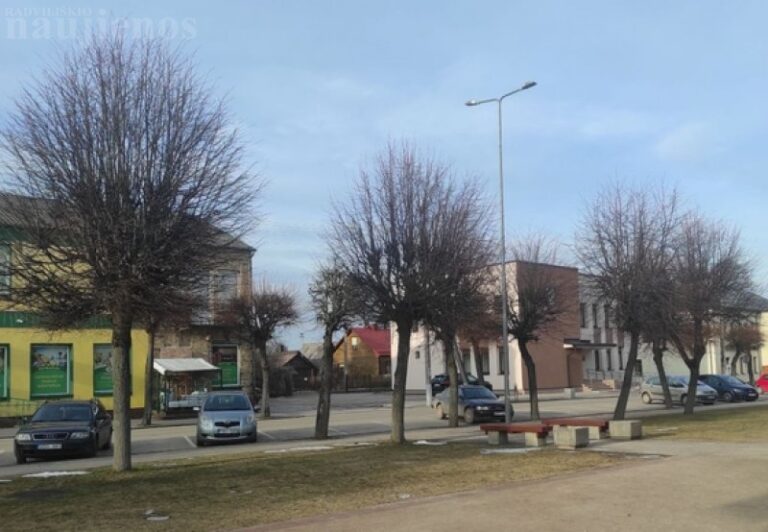 Rajono savivaldybė samdys… medžių stebėtojus
