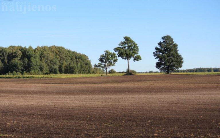 Džiugi žinia ūkininkams: išartų pievų šiemet atkurti nereikės