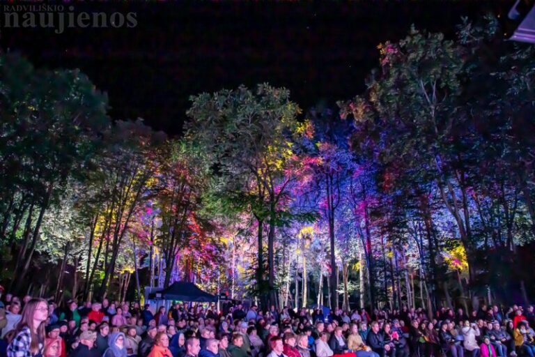 Šviesų ir meno festivalis Šeduvoje nepaliko abejingų