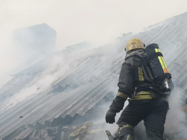 Radviliškyje supleškėjo sodo namelis