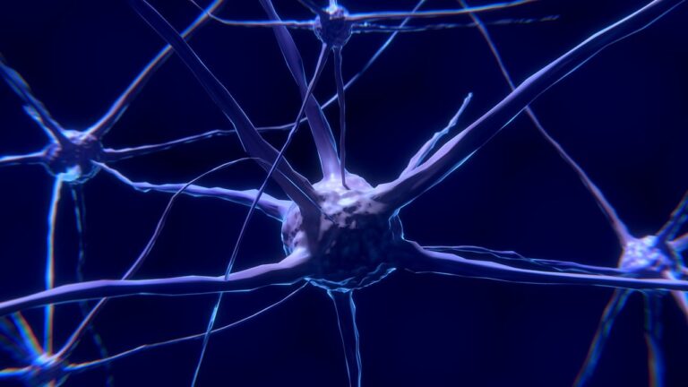 Suprasti nervų sistemą: Nervų sistemos pažinimas: funkcijos ir sutrikimai