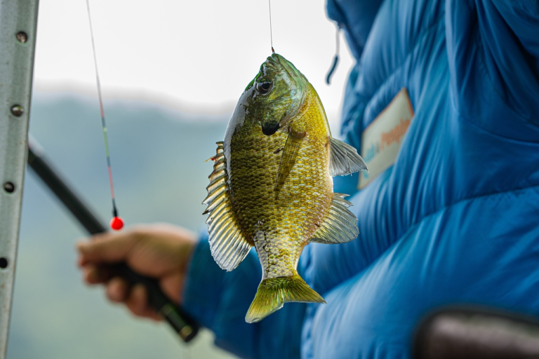 Kodėl žvejyba yra puikus hobis ir kaip pagauti norimą žuvį?