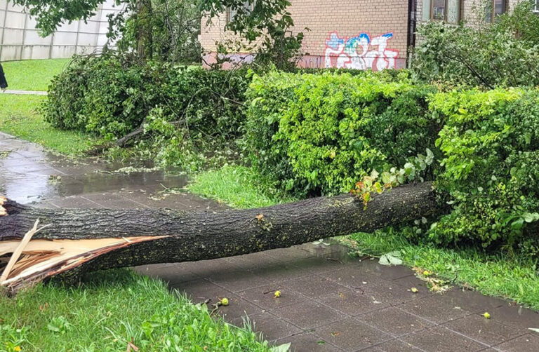 Svarbi informacija: ką daryti, norint gauti paramą nukentėjusiesiems po audros ir liūties Radviliškio rajone