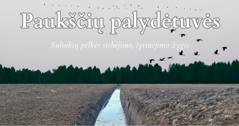 Paukščių palydėtuvės