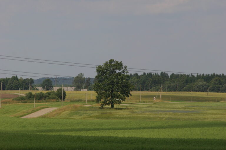 Mažesnė administracinė našta laukus tręšiantiems mėšlu