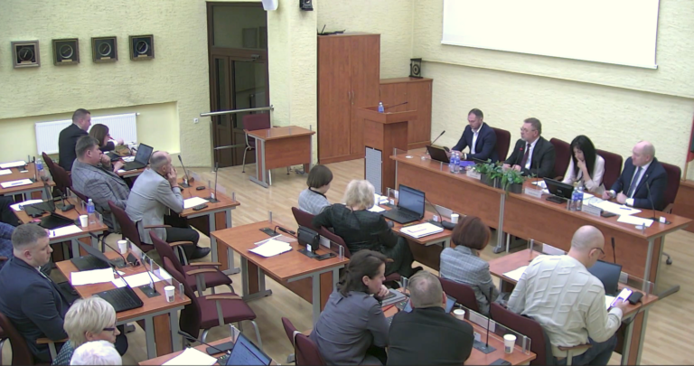 Taryba pritarė: viešosioms erdvėms tvarkyti bus pasitelkti bedarbiai