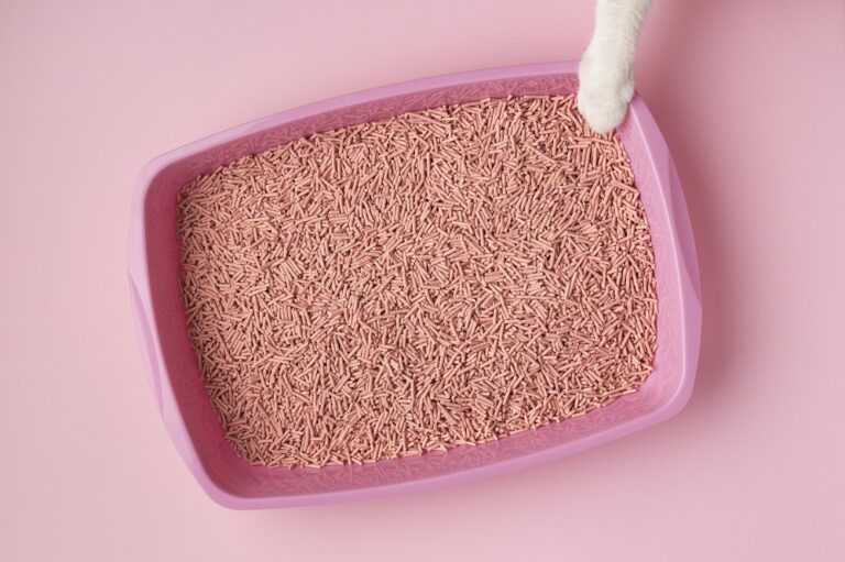 Ar tofu kraikas tinka jautresniems augintiniams?